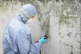 Mold Odor Removal Services in Port Jefferson, NY